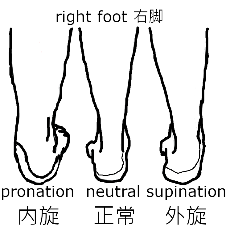脚内外旋_Foot-pronate-supination1